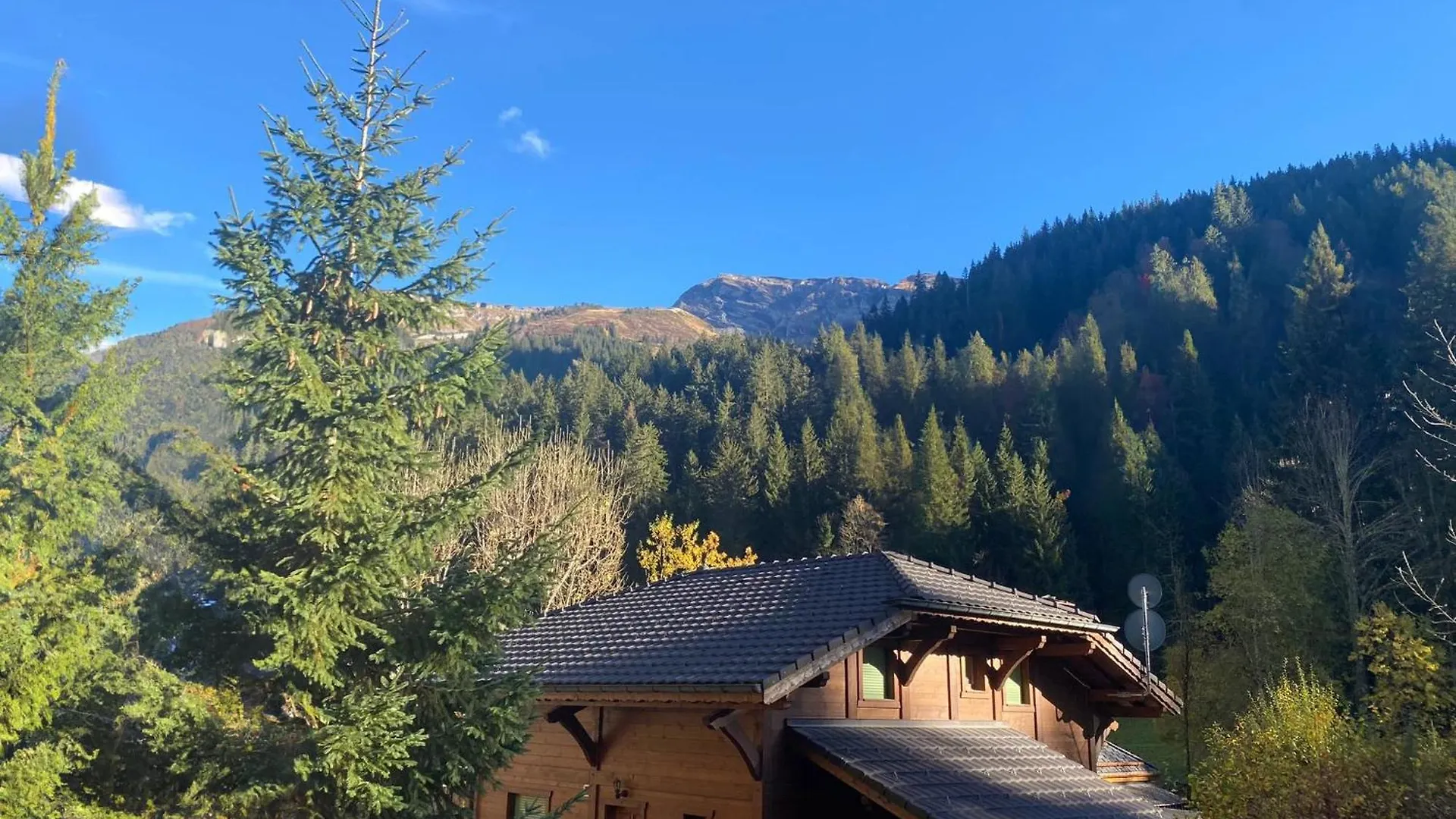 Alpine Creek - Luxury Ski-In Avoriaz Morzine Chalet